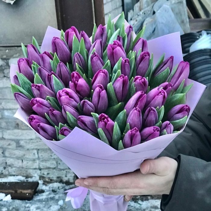 Букет из 51 фиолетового тюльпана, фото 2